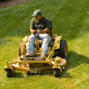 lawn care service summerfield nc